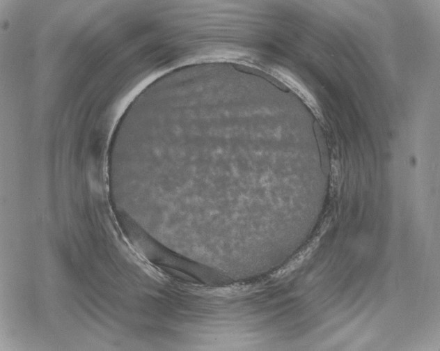 X0000078840948200611271318