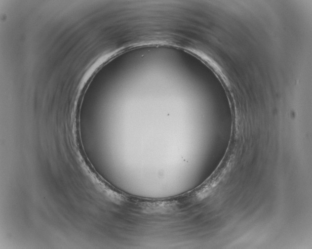 X0000078840949200611271318