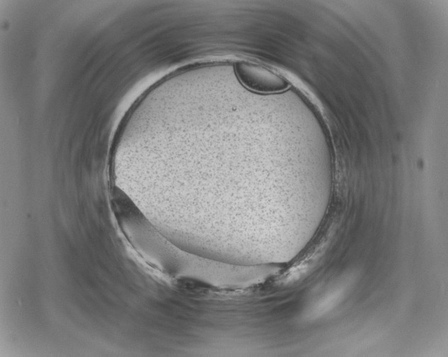 X0000078840951200611271318