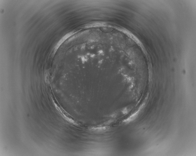 X0000078840953200611271319