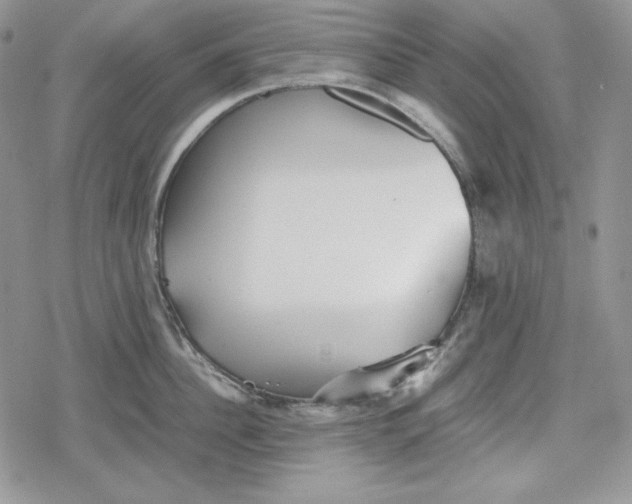 X0000078840956200611271319