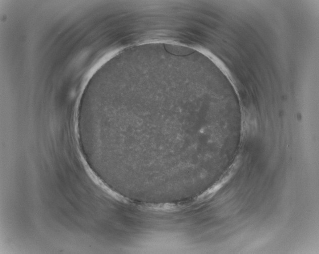 X0000078840957200611271319