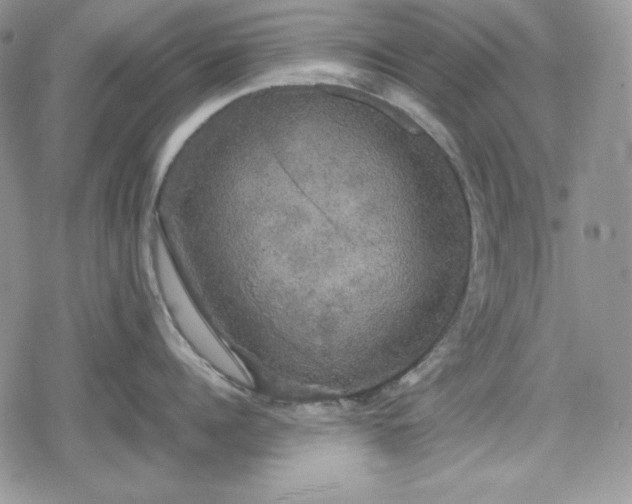 X0000078840960200611271319