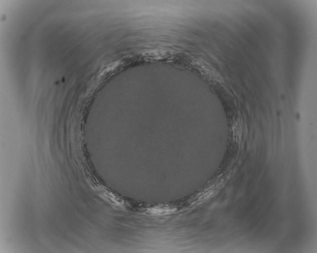 X0000078840961200611271318