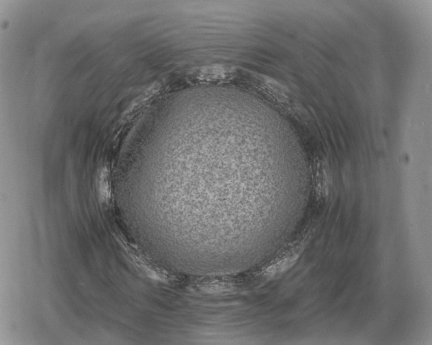 X0000078840962200611271318