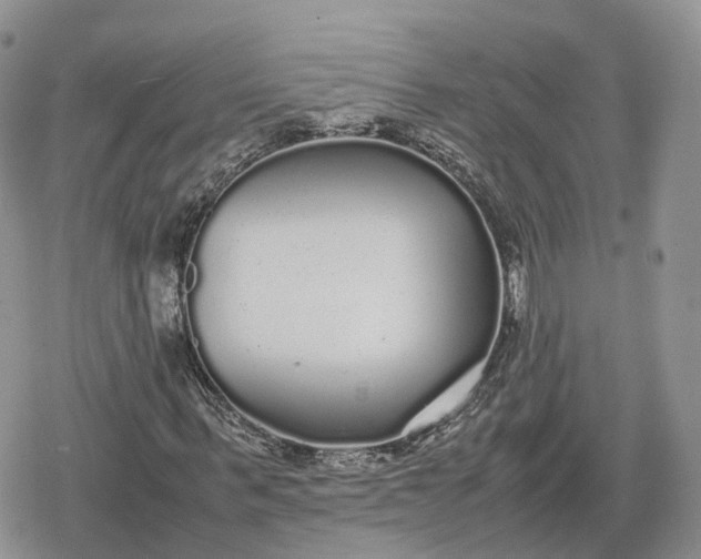 X0000078840963200611271318