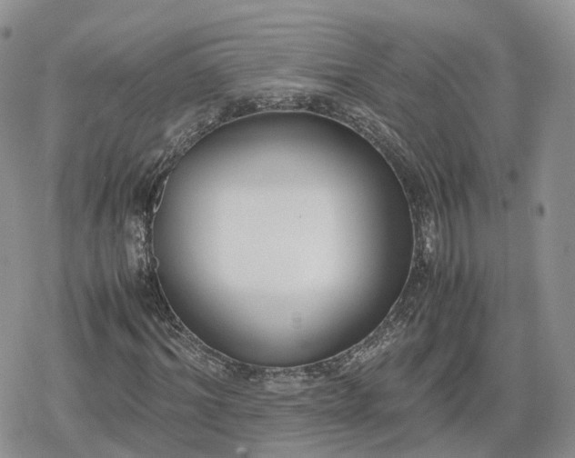 X0000078840964200611271318