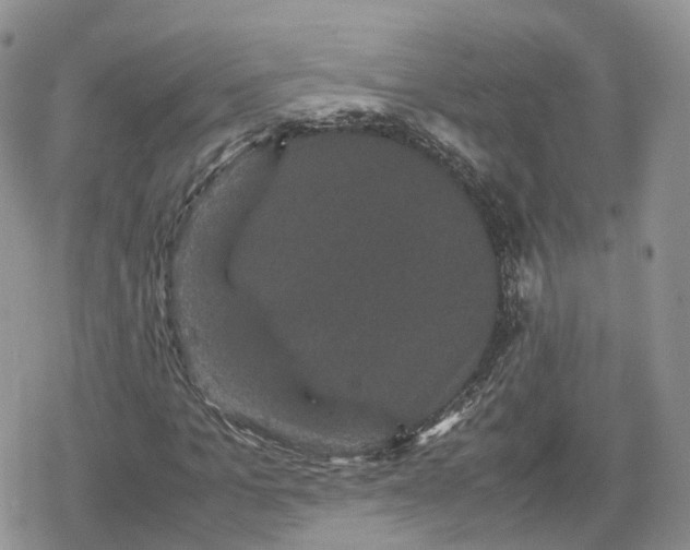 X0000078840965200611271318