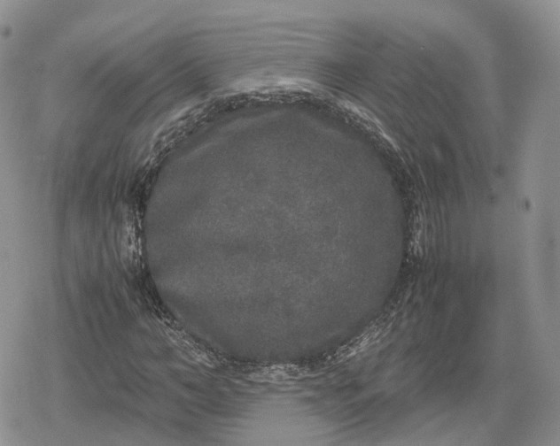 X0000078840966200611271318