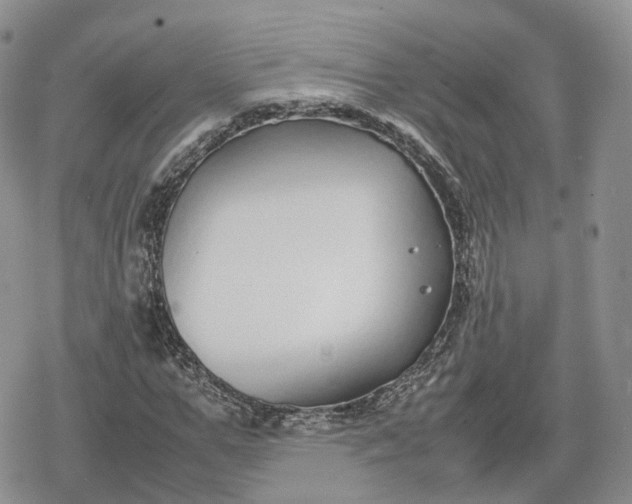 X0000078840967200611271318