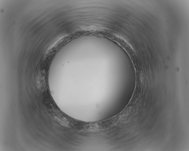 X0000078840968200611271318