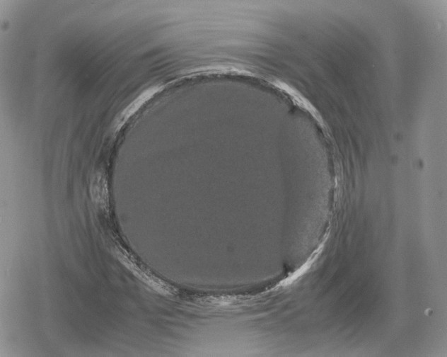 X0000078840969200611271318