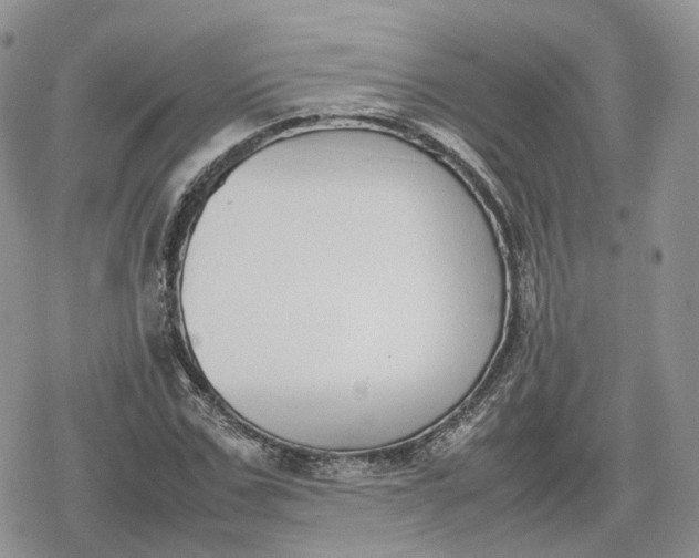 X0000078840971200611271318