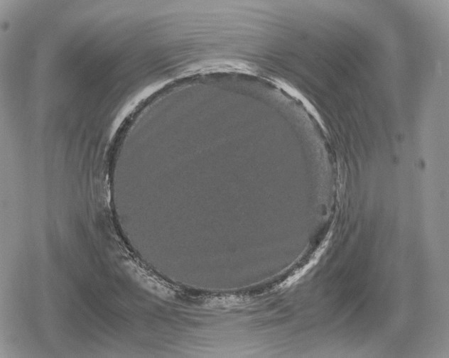 X0000078840973200611271318