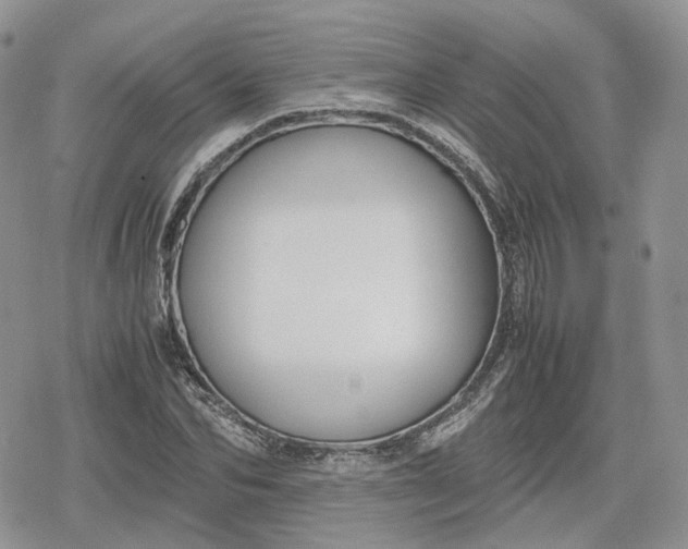 X0000078840974200611271318