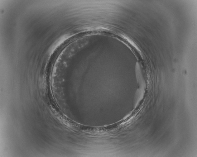 X0000078840975200611271318