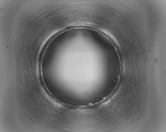 X0000078840976200611271318