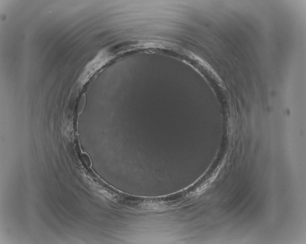 X0000078840977200611271318