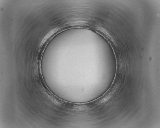 X0000078840978200611271318