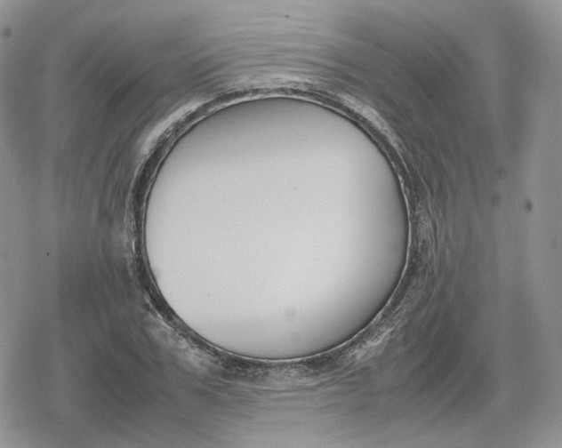 X0000078840979200611271318