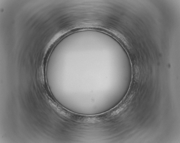 X0000078840982200611271318