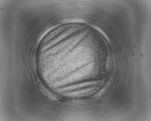 X0000078840983200611271317