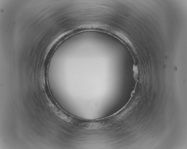 X0000078840984200611271317