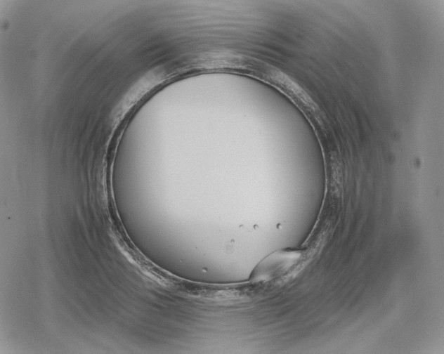 X0000078840986200611271317