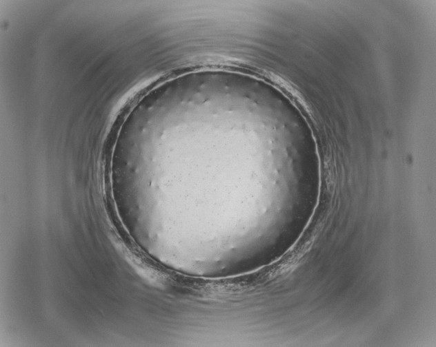 X0000078840987200611271317