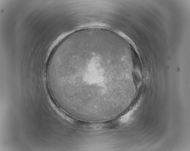 X0000078840989200611271317