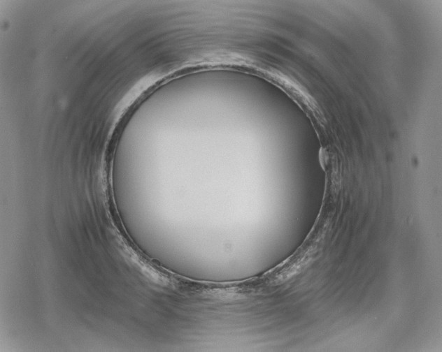 X0000078840990200611271317