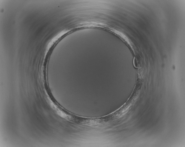 X0000078840995200611271317