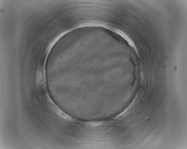 X0000078840996200611271317