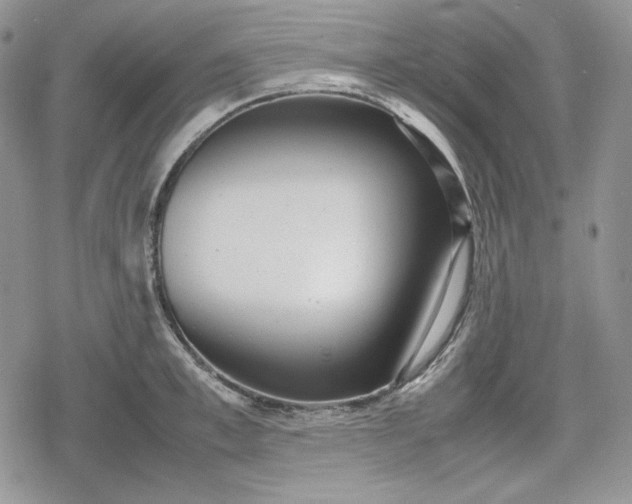 X0000078840997200611271317