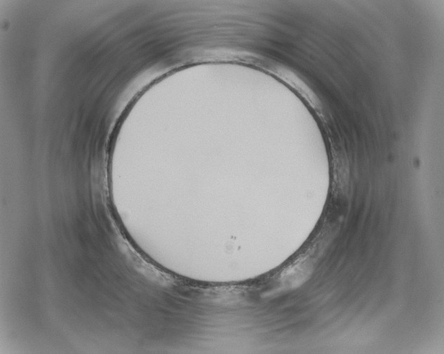 X0000078841000200611271317