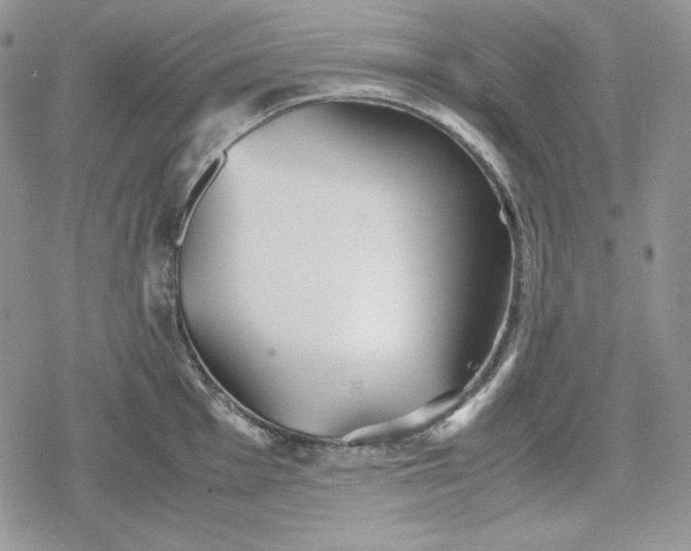 X0000078841001200611271317