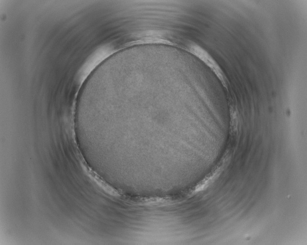 X0000078841002200611271317