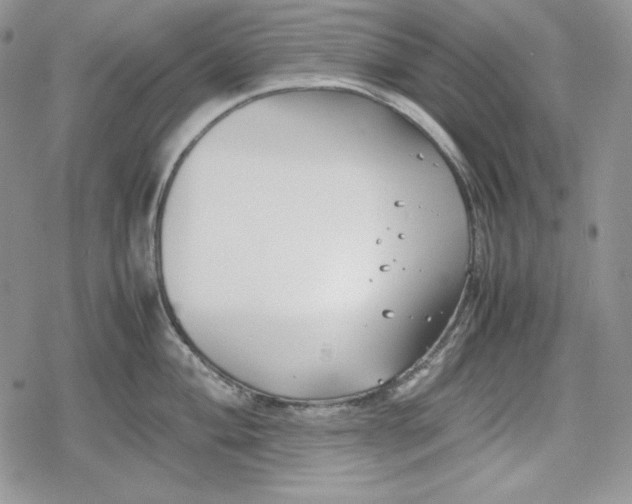 X0000078841004200611271317