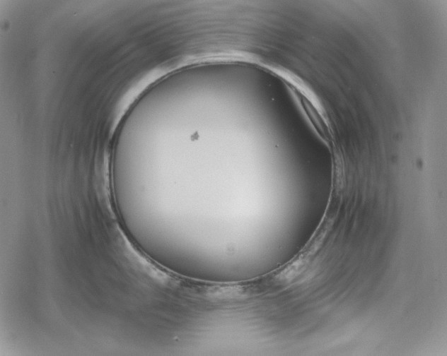 X0000078841006200611271317