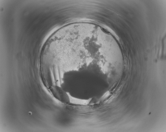 X0000078841007200611271317