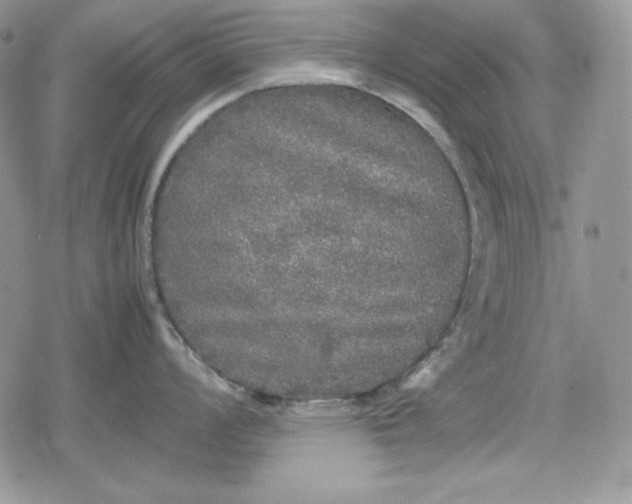 X0000078841008200611271317