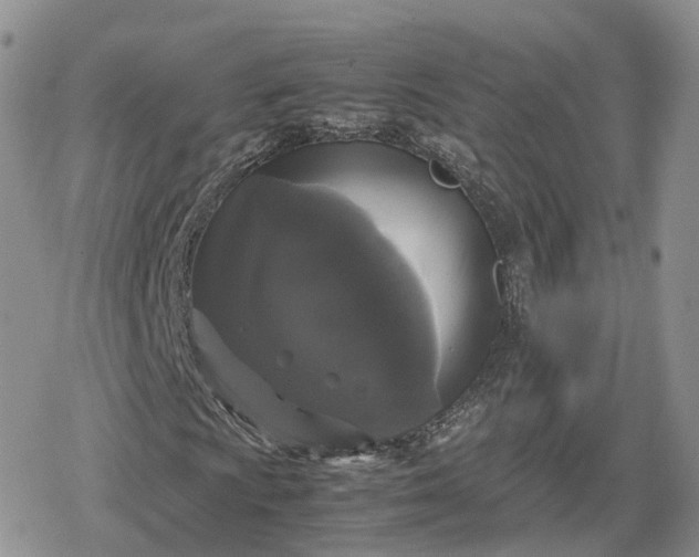 X0000078841009200611271316