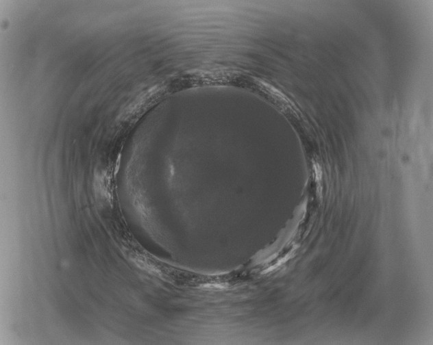 X0000078841010200611271316