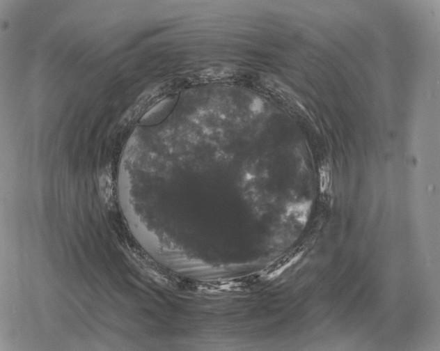 X0000078841011200611271316