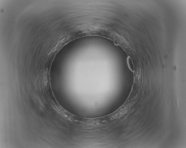 X0000078841012200611271316