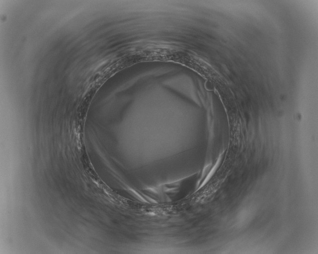 X0000078841013200611271316