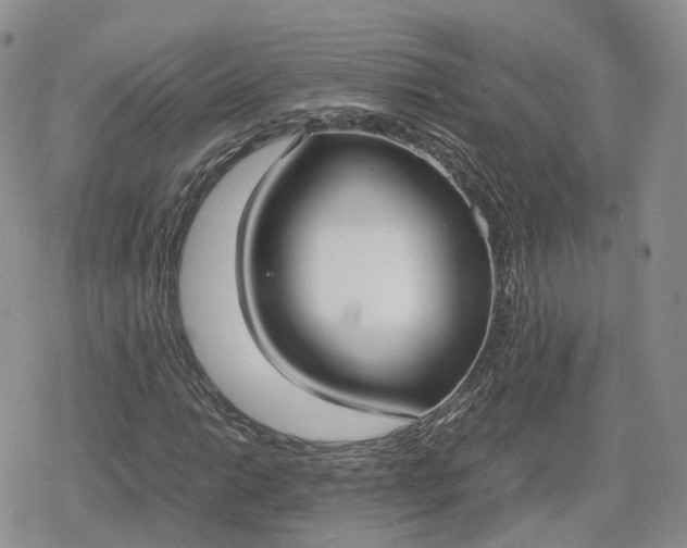 X0000078841014200611271316