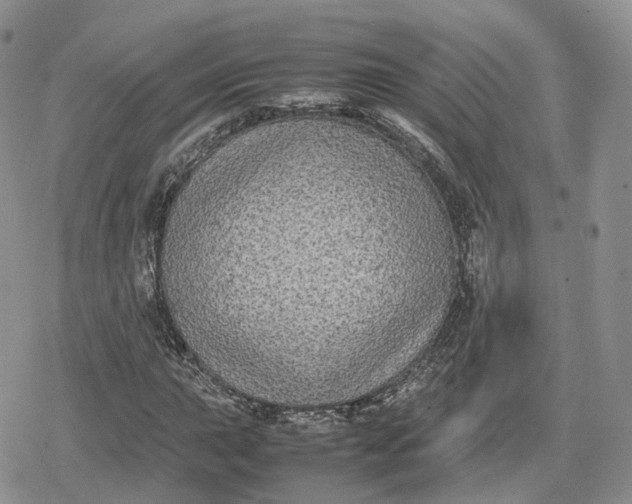 X0000078841015200611271316