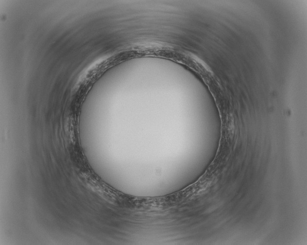 X0000078841016200611271316