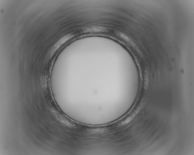 X0000078841017200611271316